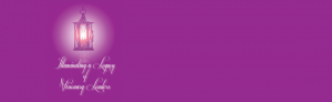 HLS-2013-web-banner-3