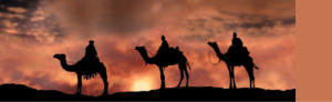 Admission-Christmas-2013-web-banner